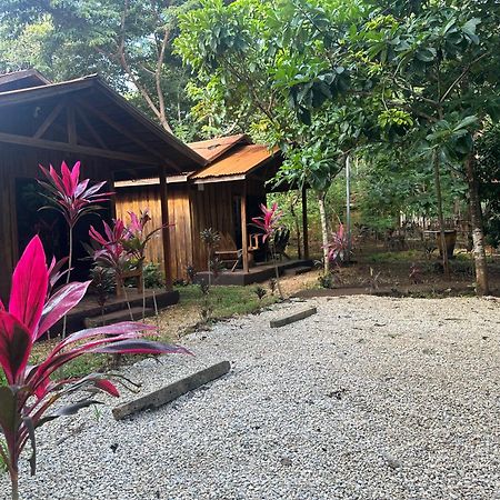 Finca Avellanas Lorena Kültér fotó