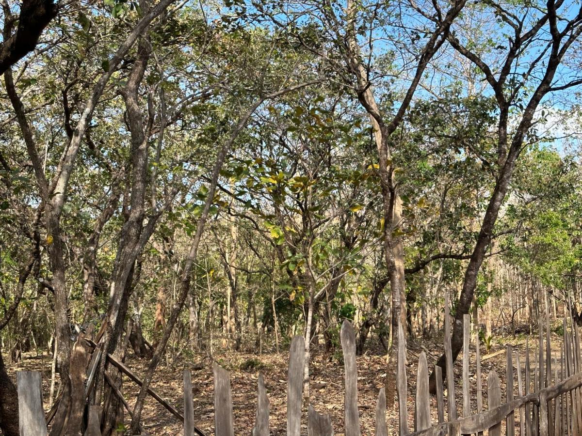 Finca Avellanas Lorena Kültér fotó