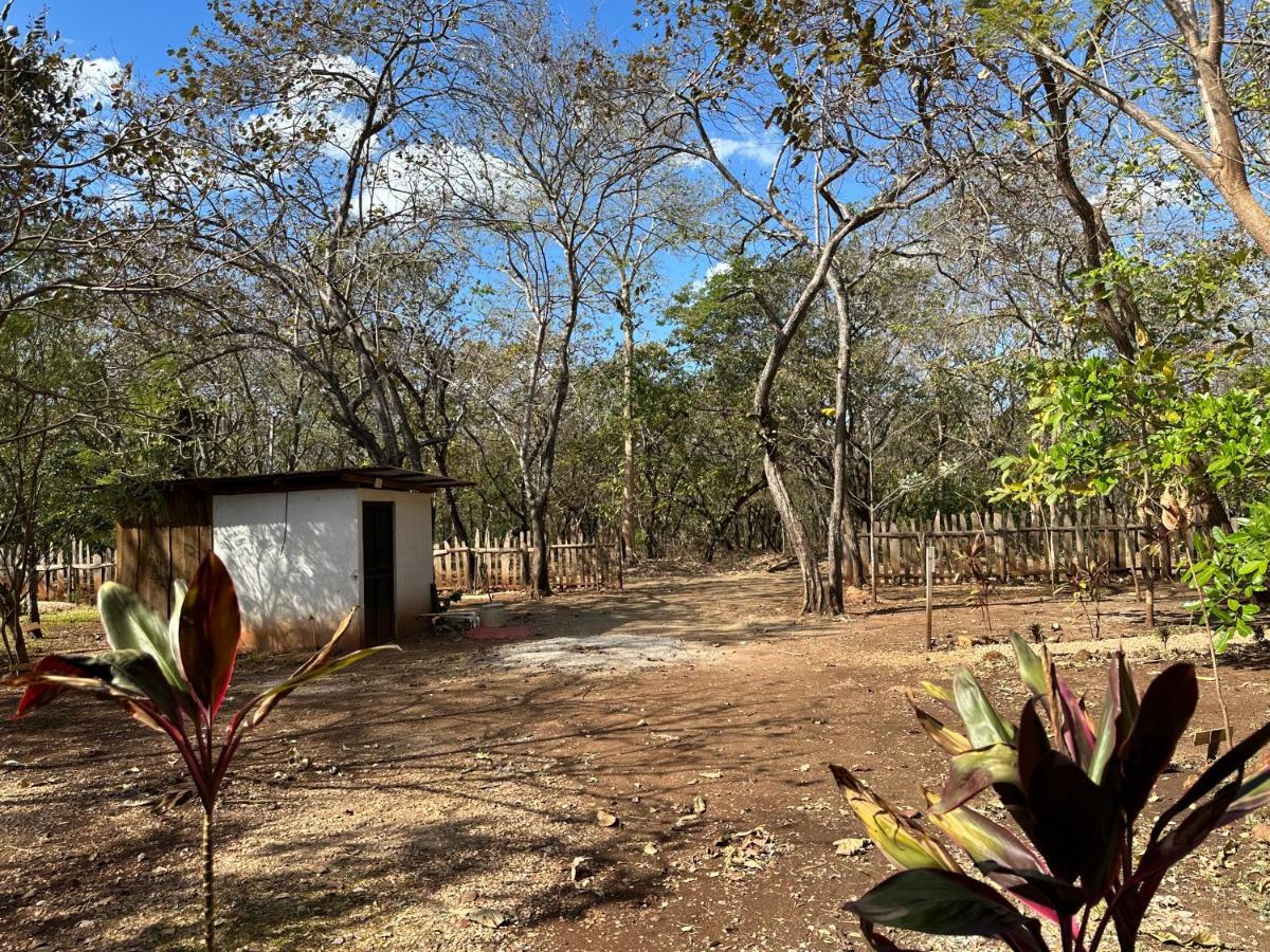 Finca Avellanas Lorena Kültér fotó