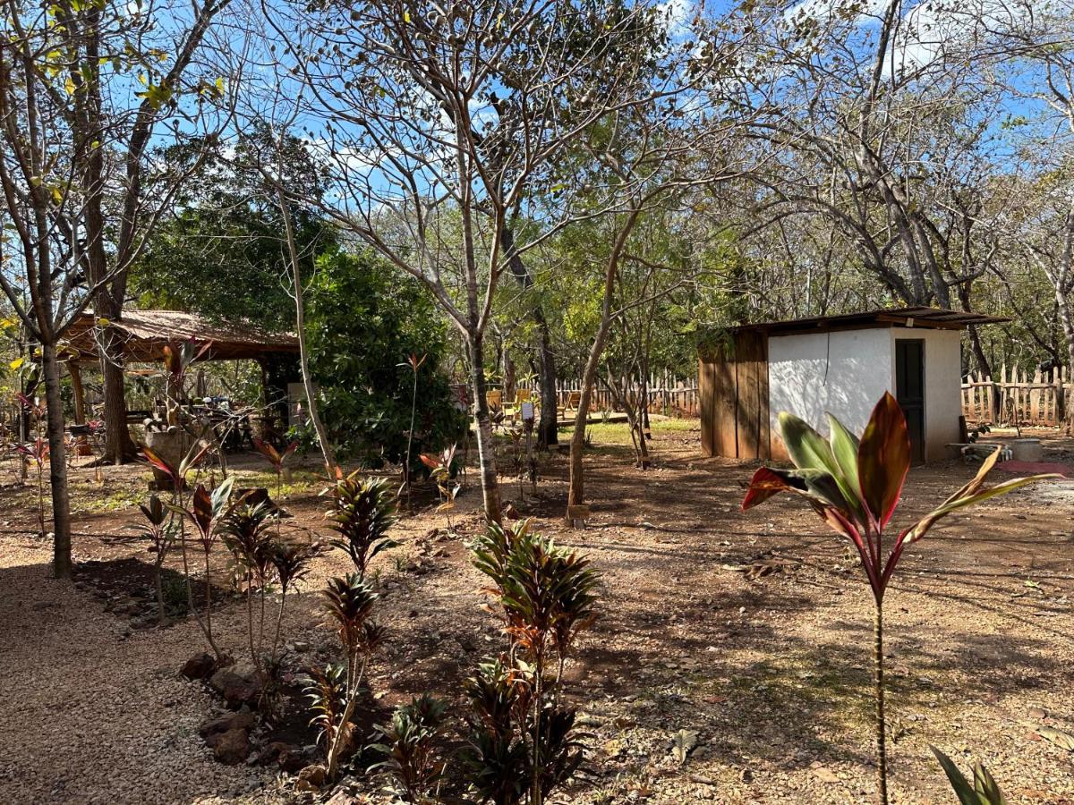 Finca Avellanas Lorena Kültér fotó