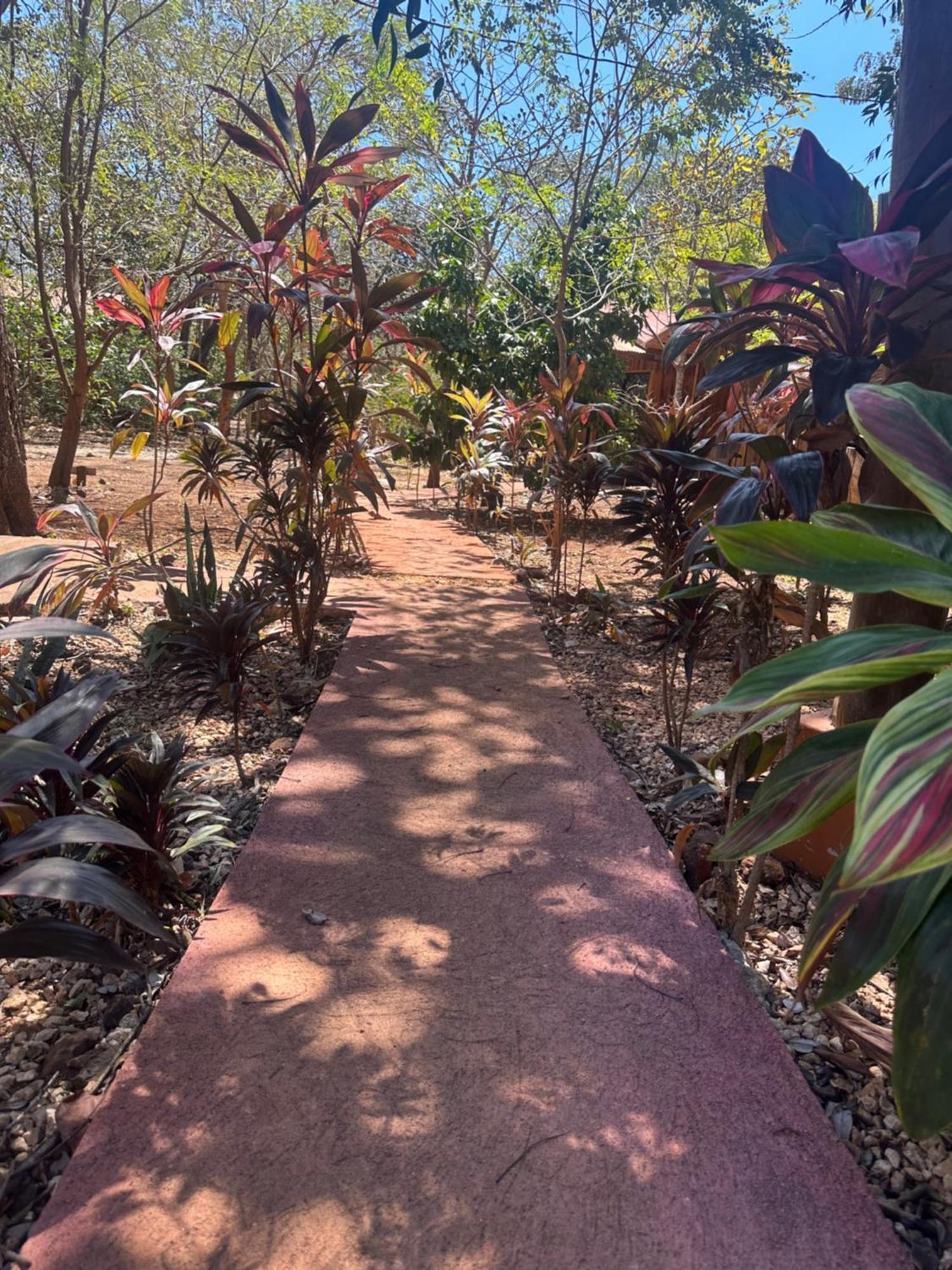 Finca Avellanas Lorena Kültér fotó