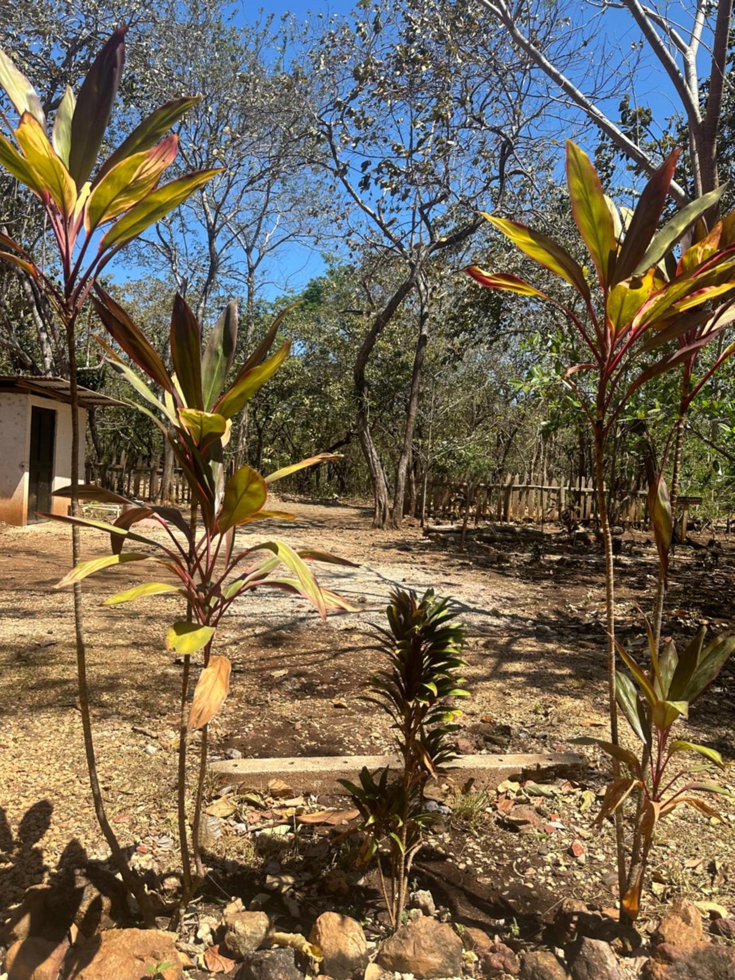 Finca Avellanas Lorena Kültér fotó