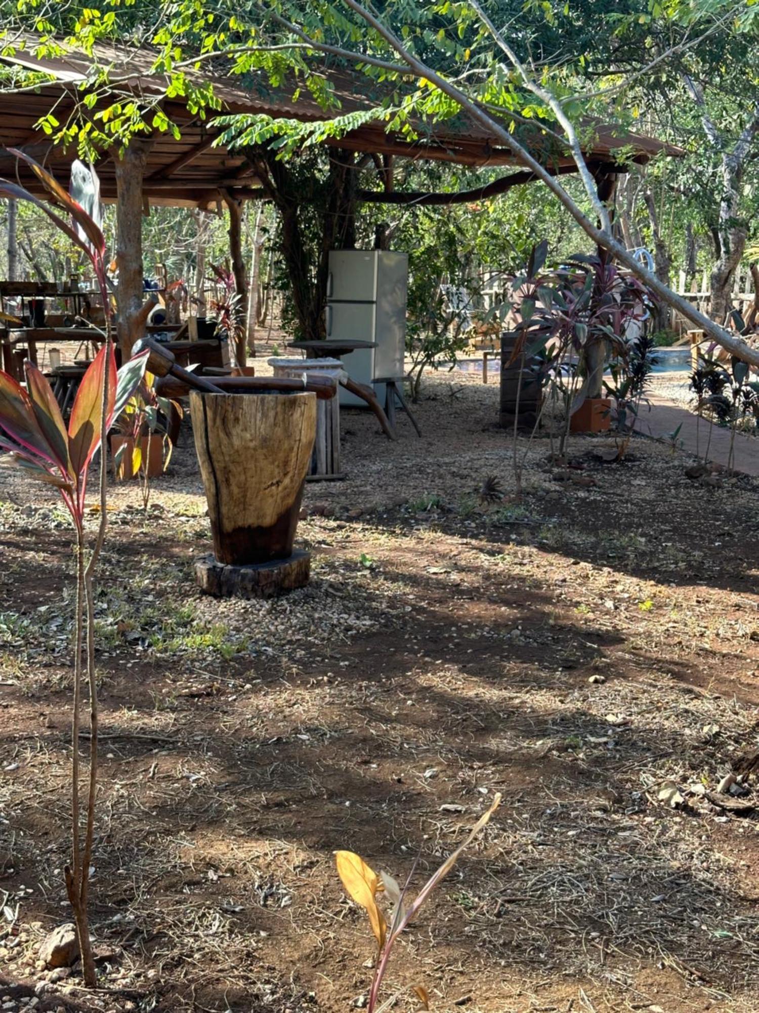 Finca Avellanas Lorena Kültér fotó