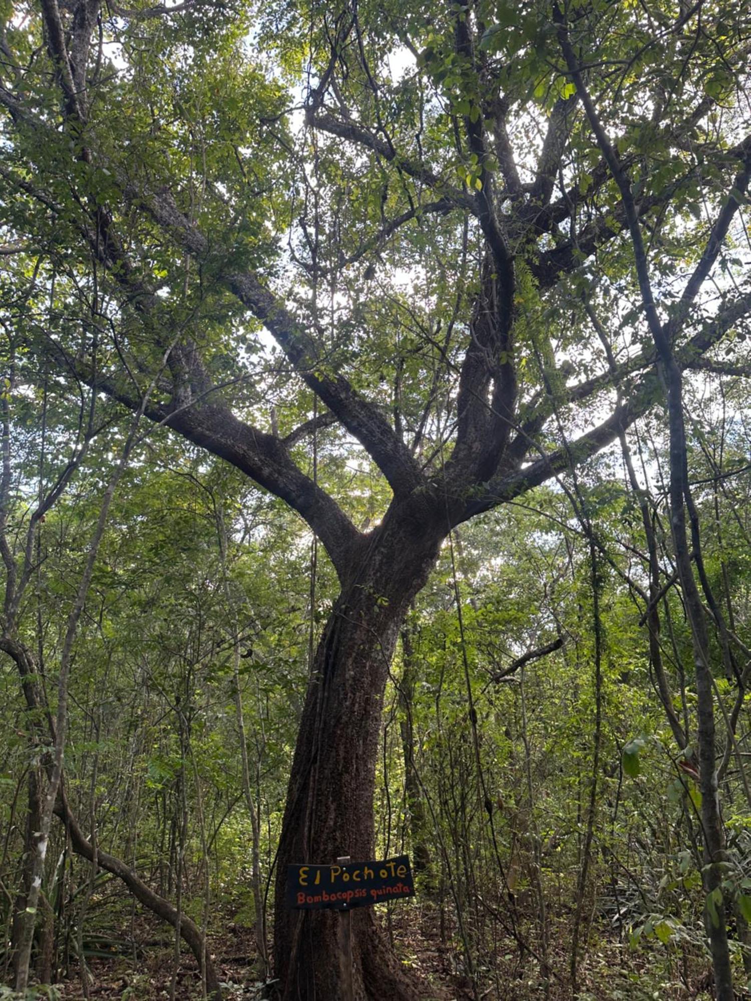 Finca Avellanas Lorena Kültér fotó