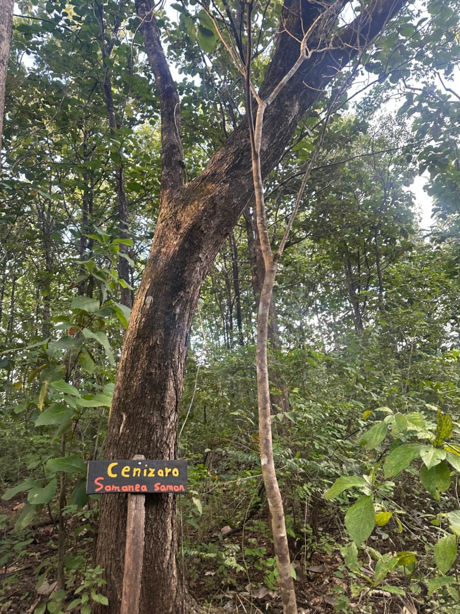 Finca Avellanas Lorena Kültér fotó